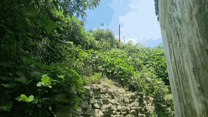 경상북도 포항시 남구 호미곶면 강사리 669-3 공장 경매 사진 5