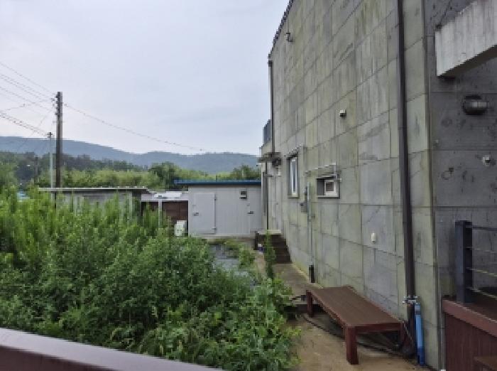 경상북도 포항시 북구 흥해읍 금장리 505-1 주택 경매 사진 20