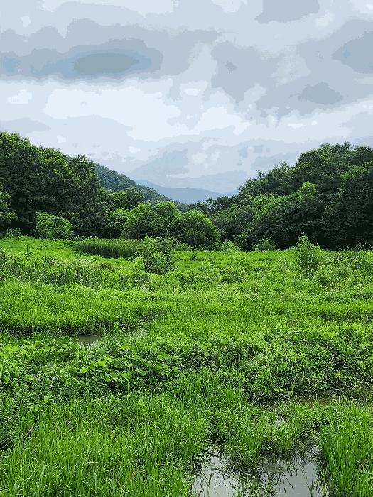 충청북도 충주시 앙성면 영죽리 758-1 답 경매 사진 2