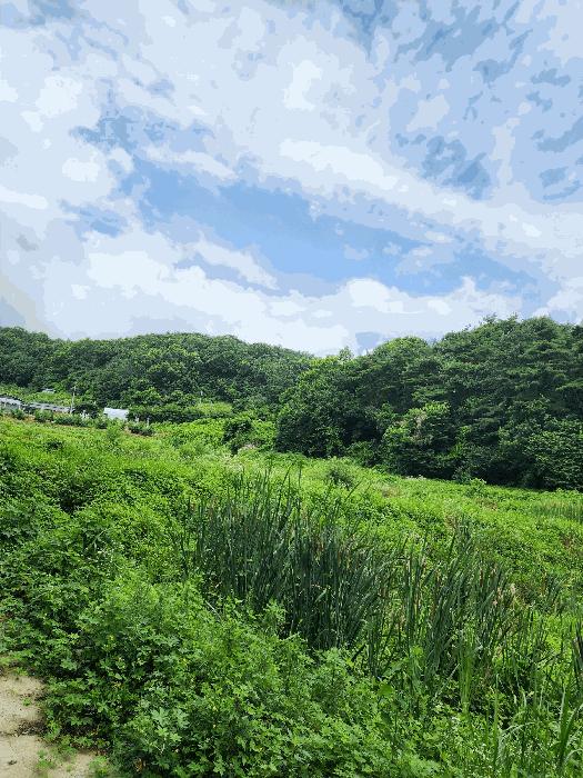 충청북도 충주시 앙성면 영죽리 758-1 답 경매 사진 3