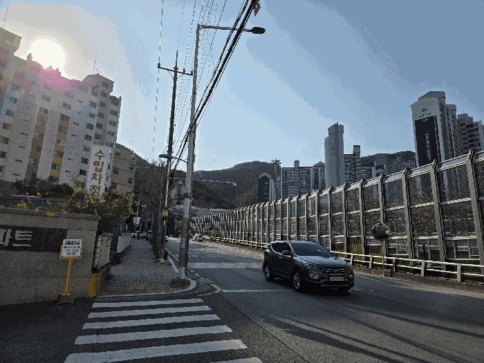 부산광역시 남구 대연동 255-1 장백장미타워아파트 102동 5층506호 아파트 경매 사진 2