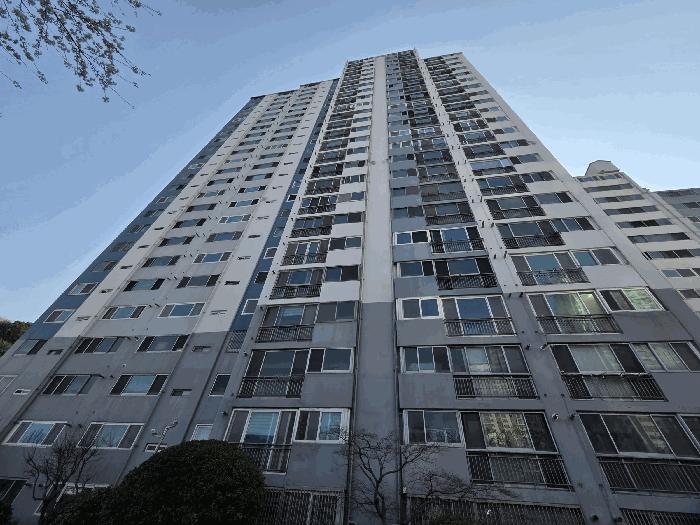 부산광역시 남구 대연동 255-1 장백장미타워아파트 102동 5층506호 아파트 경매 사진 3
