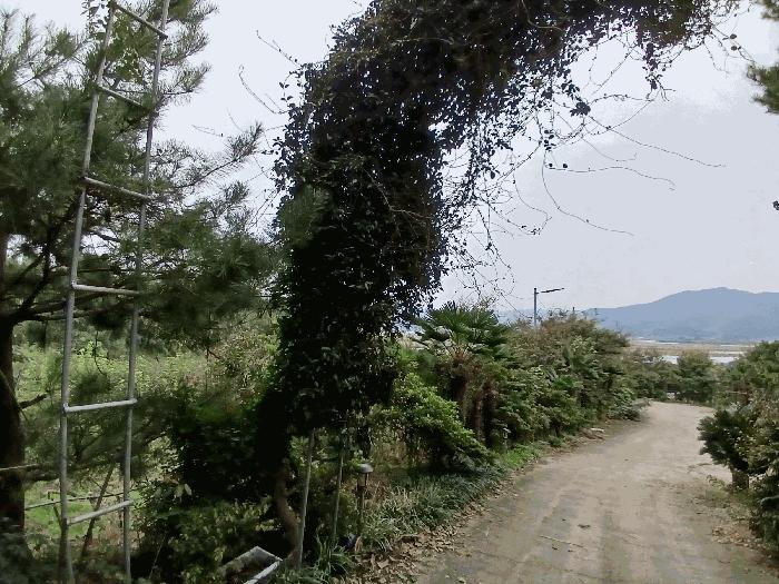 전라남도 순천시 낙안면 신기리 415-5 창고 경매 사진 10