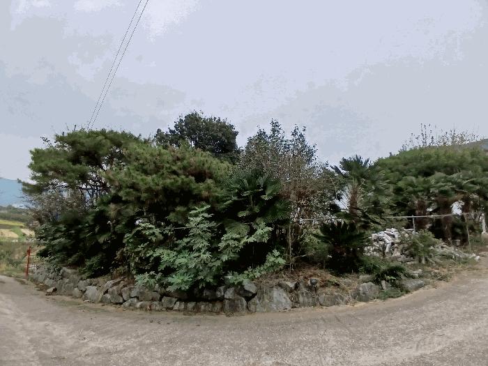 전라남도 순천시 낙안면 신기리 415-5 창고 경매 사진 11