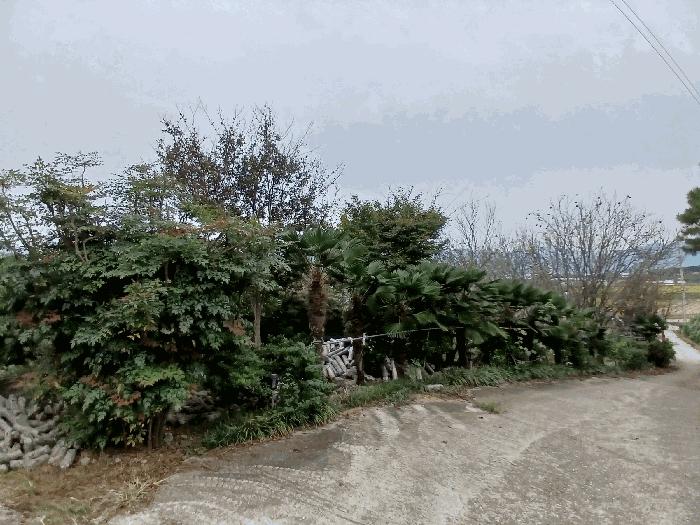전라남도 순천시 낙안면 신기리 415-5 창고 경매 사진 12