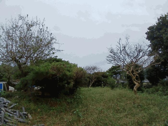 전라남도 순천시 낙안면 신기리 415-5 창고 경매 사진 15