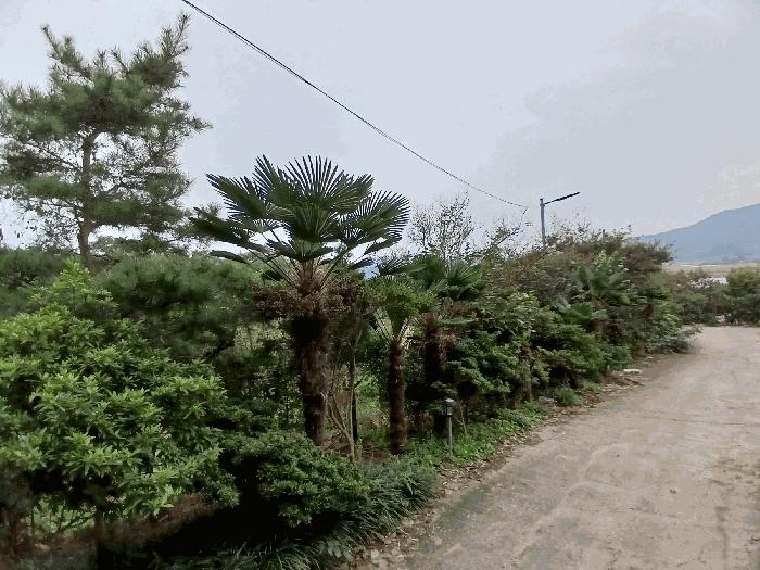 전라남도 순천시 낙안면 신기리 415-5 창고 경매 사진 16