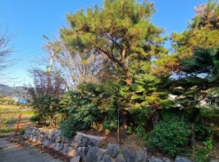 전라남도 순천시 낙안면 신기리 415-5 창고 경매 사진 20