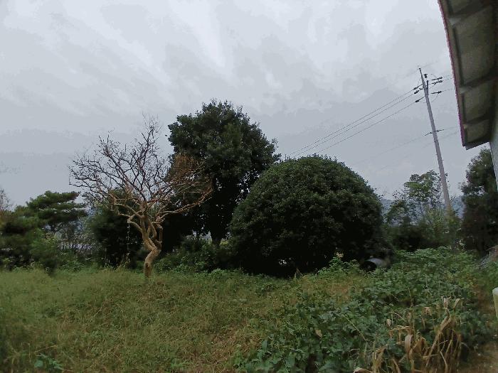 전라남도 순천시 낙안면 신기리 415-5 창고 경매 사진 3