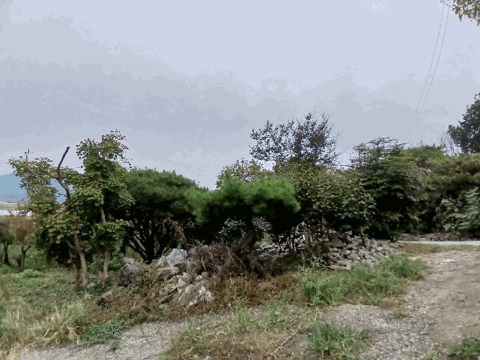 전라남도 순천시 낙안면 신기리 415-5 창고 경매 사진 4