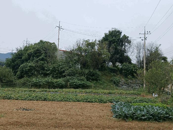 전라남도 순천시 낙안면 신기리 415-5 창고 경매 사진 5