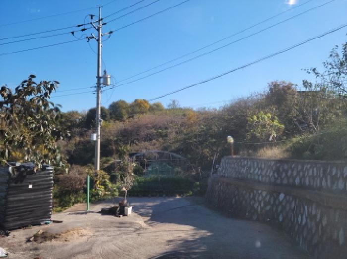 전라남도 여수시 소라면 덕양리 919-1 전 경매 사진 5