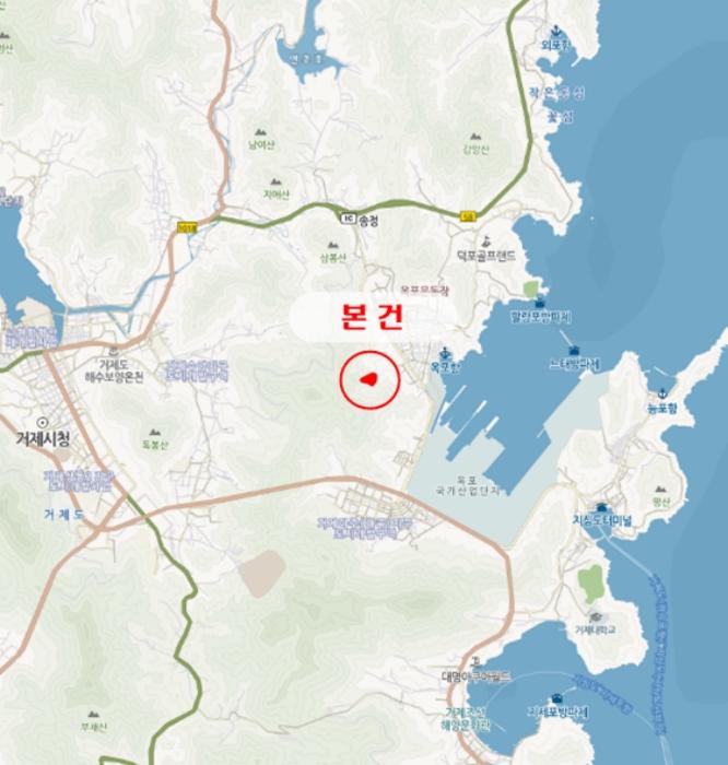 경상남도 거제시 옥포동 산123-2 임야 경매 사진 14