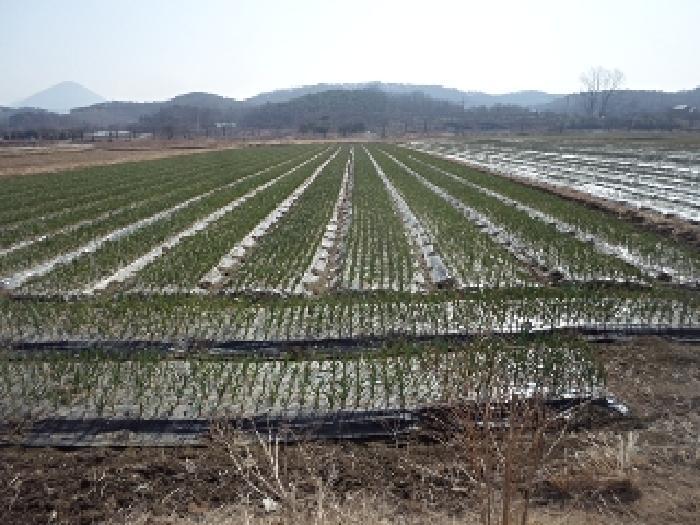 경상남도 창녕군 계성면 봉산리 1510-2 전 경매 사진 12