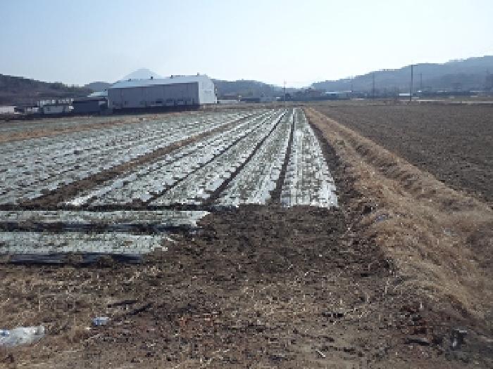 경상남도 창녕군 계성면 봉산리 967 답 경매 사진 6