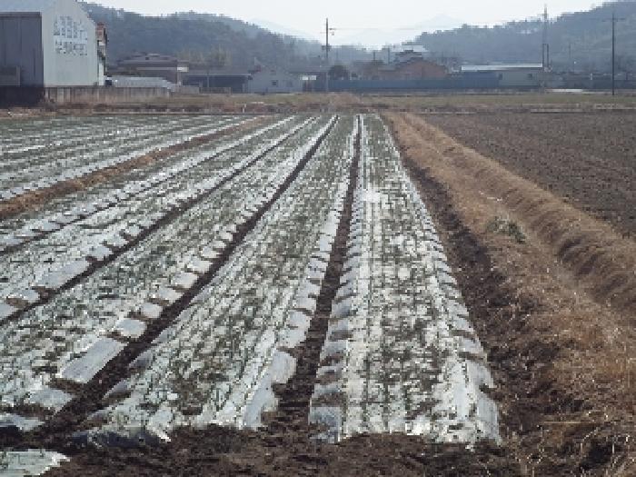 경상남도 창녕군 계성면 봉산리 1022 답 경매 사진 7