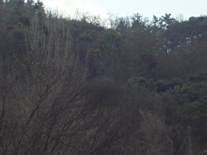 경상남도 창녕군 도천면 어만리 산140 임야 경매 사진 13