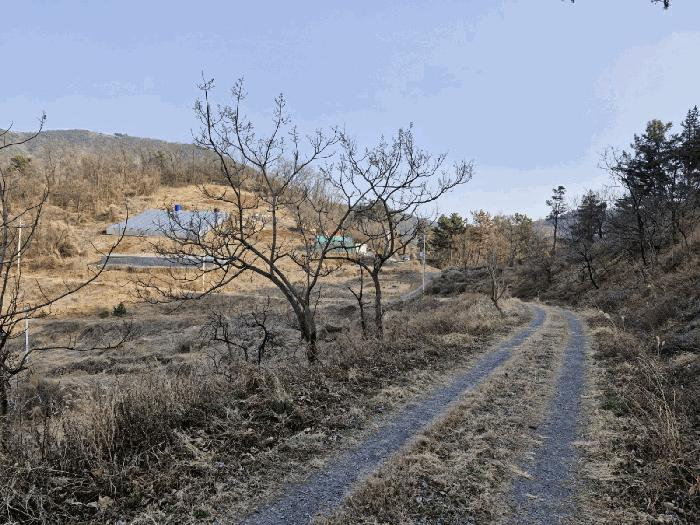 경상남도 창녕군 도천면 어만리 산140 임야 경매 사진 2