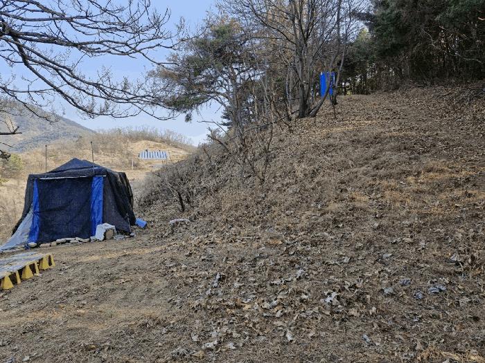 경상남도 창녕군 도천면 어만리 산140 임야 경매 사진 3