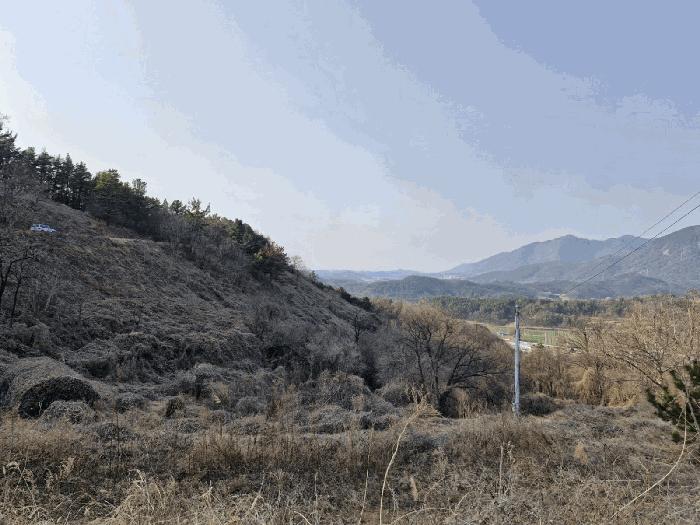 경상남도 창녕군 도천면 어만리 산140 임야 경매 사진 8