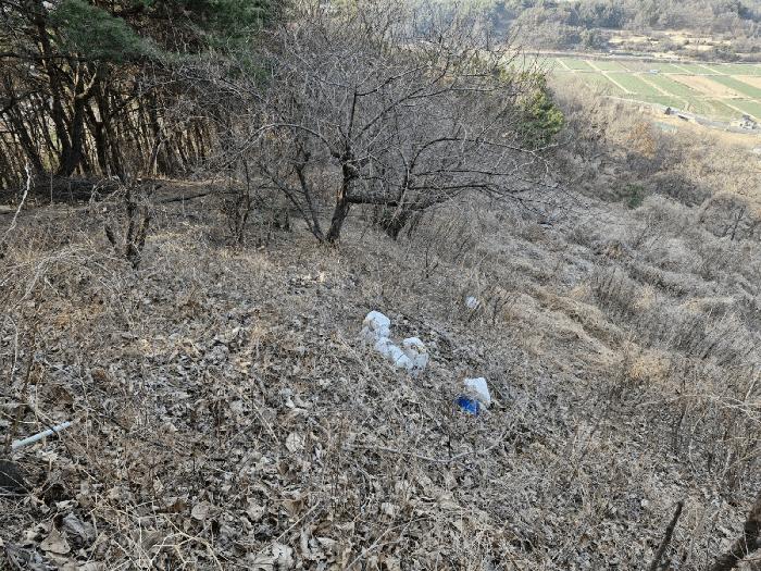 경상남도 창녕군 도천면 어만리 산140 임야 경매 사진 9