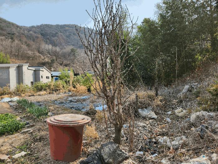 경상남도 밀양시 대지