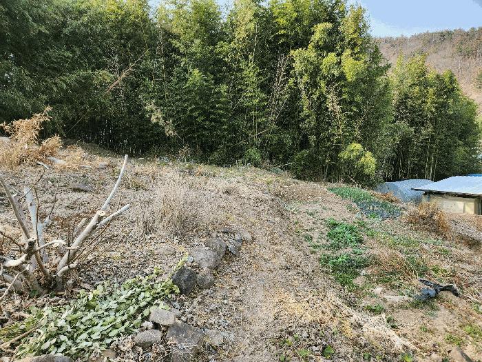 경상남도 밀양시 상남면 연금리 985-8 대지 경매 사진 10