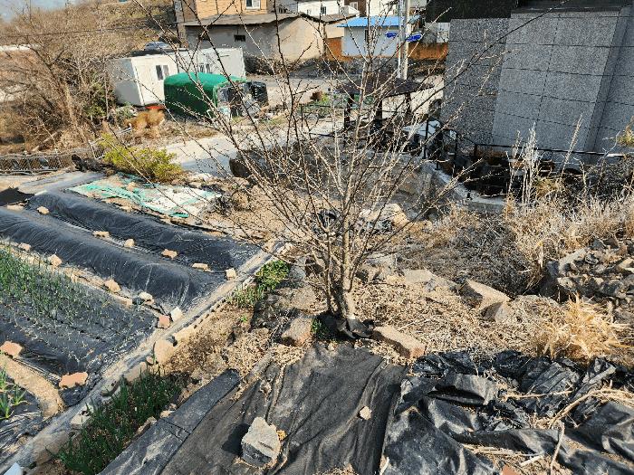 경상남도 밀양시 상남면 연금리 985-8 대지 경매 사진 13
