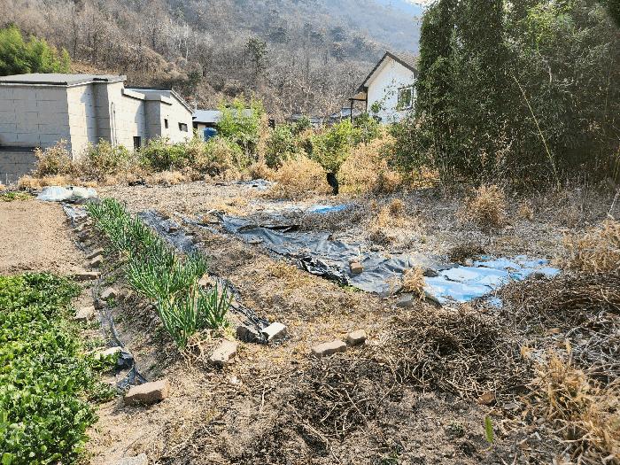 경상남도 밀양시 상남면 연금리 985-8 대지 경매 사진 7