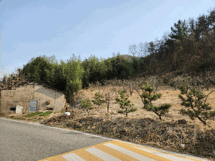 경상남도 밀양시 상남면 연금리 985-8 대지 경매 사진 8