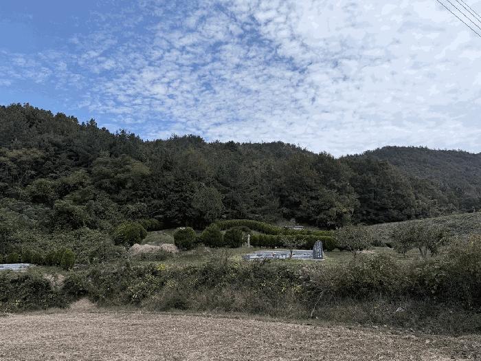 대구 강진군 임야