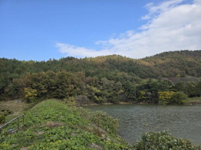 전라남도 강진군 대구면 저두리 산4 임야 경매 사진 6