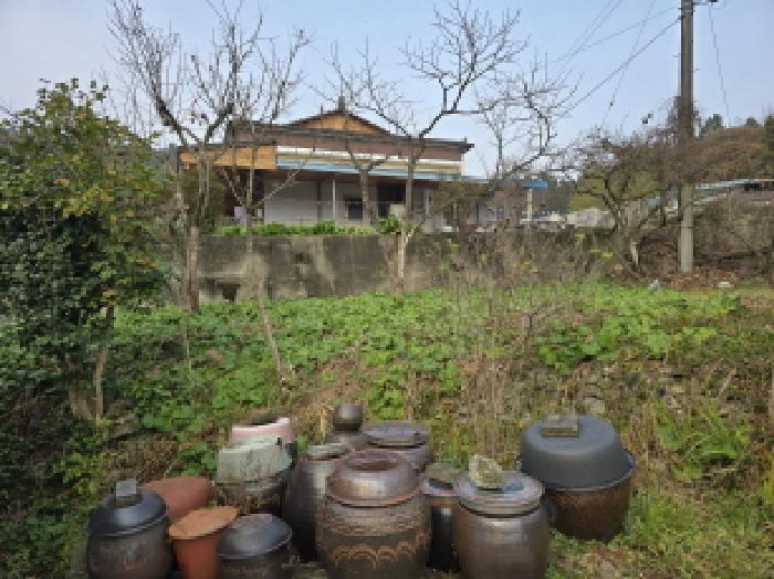 전라남도 장흥군 장동면 북교리 292 대지 경매 사진 15