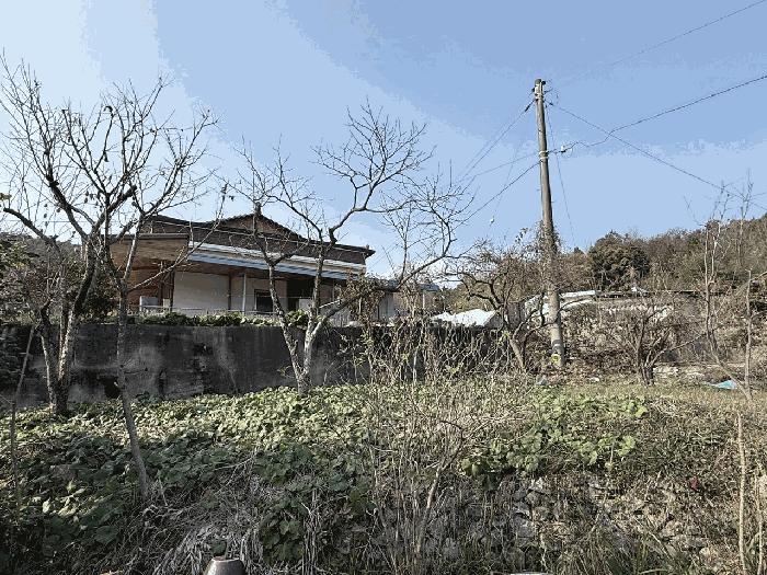 전라남도 장흥군 장동면 북교리 292 대지 경매 사진 6