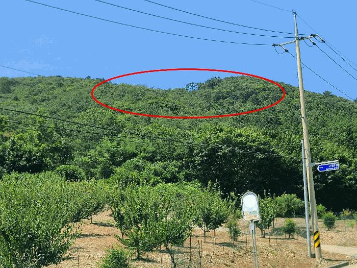 경상남도 거제시 동부면 구천리 산107-5 임야 경매 사진 1