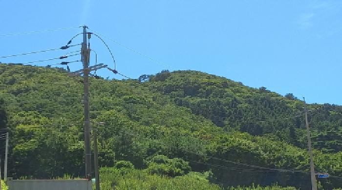 경상남도 거제시 동부면 구천리 산107-5 임야 경매 사진 12