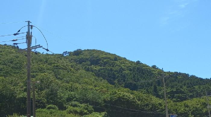 경상남도 거제시 동부면 구천리 산107-5 임야 경매 사진 13