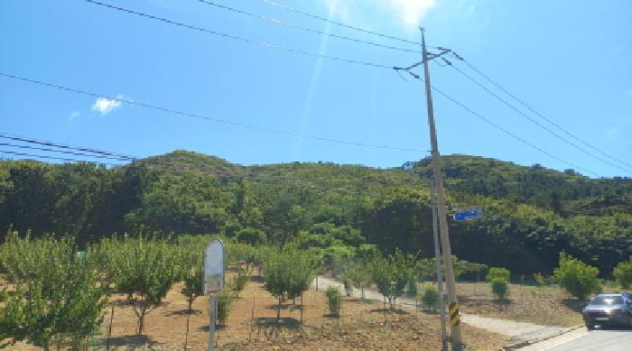 경상남도 거제시 동부면 구천리 산107-5 임야 경매 사진 16