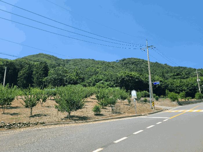 경상남도 거제시 동부면 구천리 산107-5 임야 경매 사진 5
