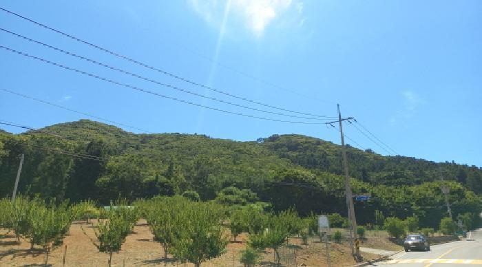 경상남도 거제시 동부면 구천리 산107-5 임야 경매 사진 9