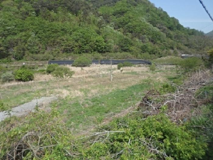 경상남도 밀양시 단장면 구천리 1067 답 경매 사진 7