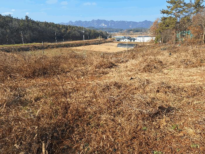 전라남도 강진군 도암면 항촌리 1642-6 답 경매 사진 4