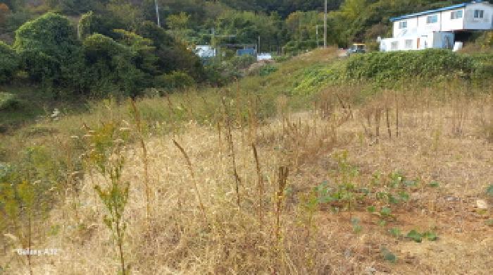 경상남도 거제시 일운면 소동리 577 답 경매 사진 15