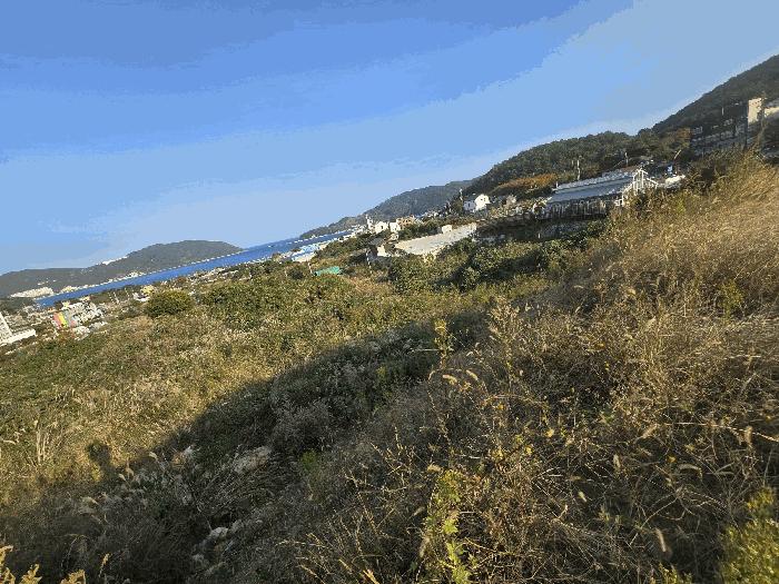 경상남도 거제시 일운면 소동리 577 답 경매 사진 6