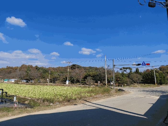 경상남도 하동군 옥종면 정수리 57-1 답 경매 사진 20