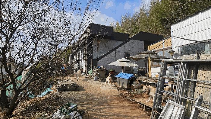 전라남도 장흥군 주택
