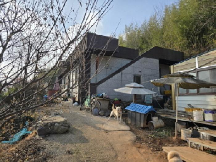 전라남도 장흥군 장동면 봉동리 901-1 주택 경매 사진 5