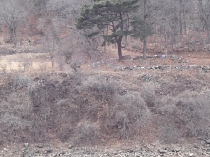 경상남도 창녕군 창녕읍 옥천리 922-1 전 경매 사진 5