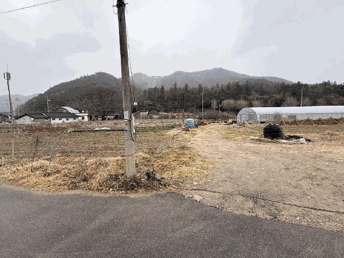 전라남도 장흥군 안양면 해창리 산50-5 임야 경매 사진 1