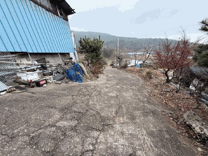 전라남도 장흥군 안양면 해창리 산50-5 임야 경매 사진 13